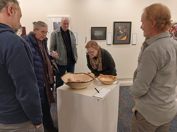 Community artists gallery: Community Silent Art Auction at Harold Steves Gallery at WCUW